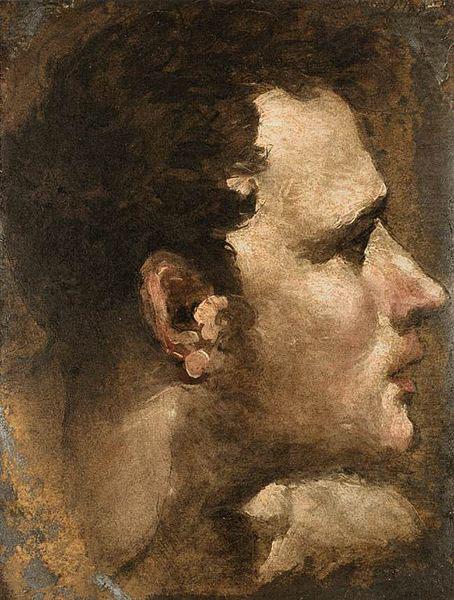 Head of a Youth Seen in Profile, Domenico Beccafumi